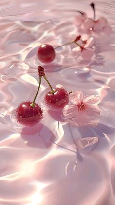 cherries